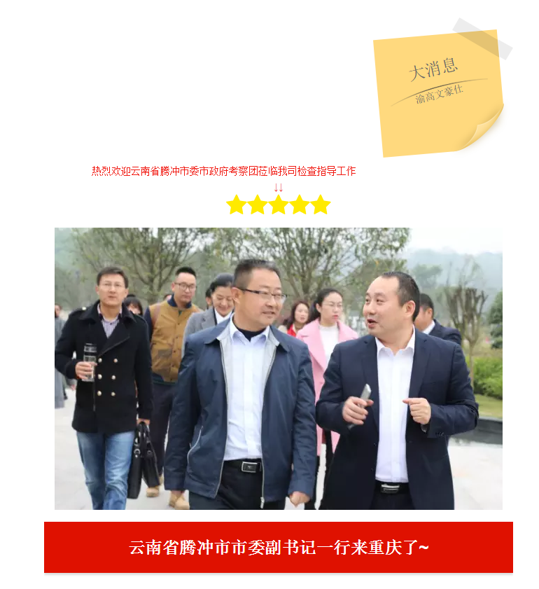 热烈欢迎云南省腾冲市市委市政府考察团莅临我司检查指导工作